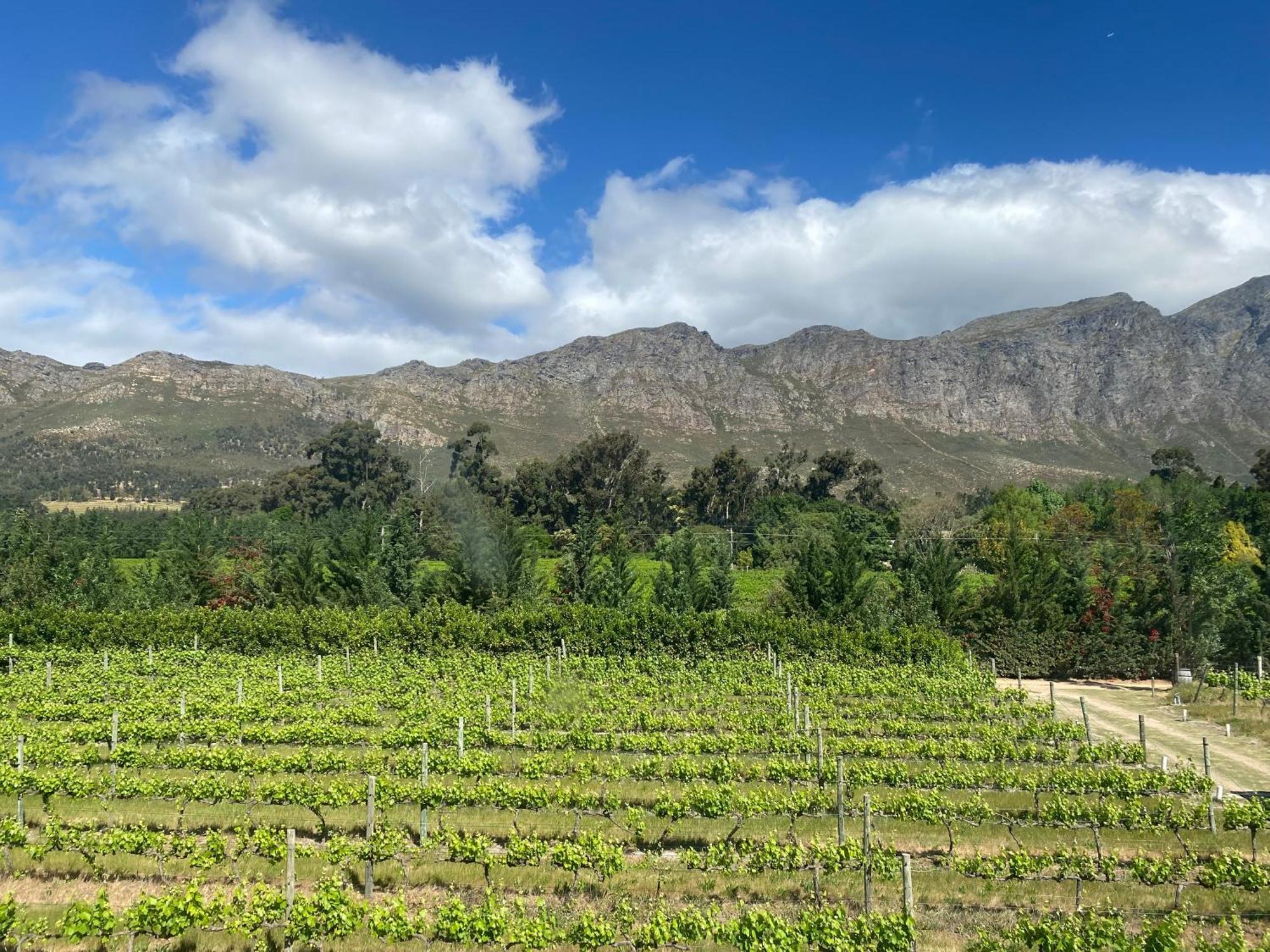 Franschhoek Rose Cottages Exterior foto